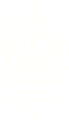 Chartered Institute